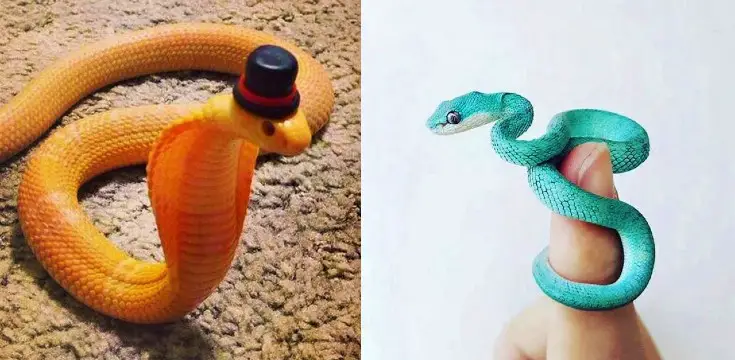 hady test kvíz had