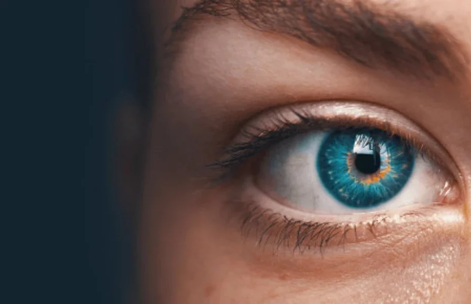 ľudské oko zloenie stavba zrak kvíz test